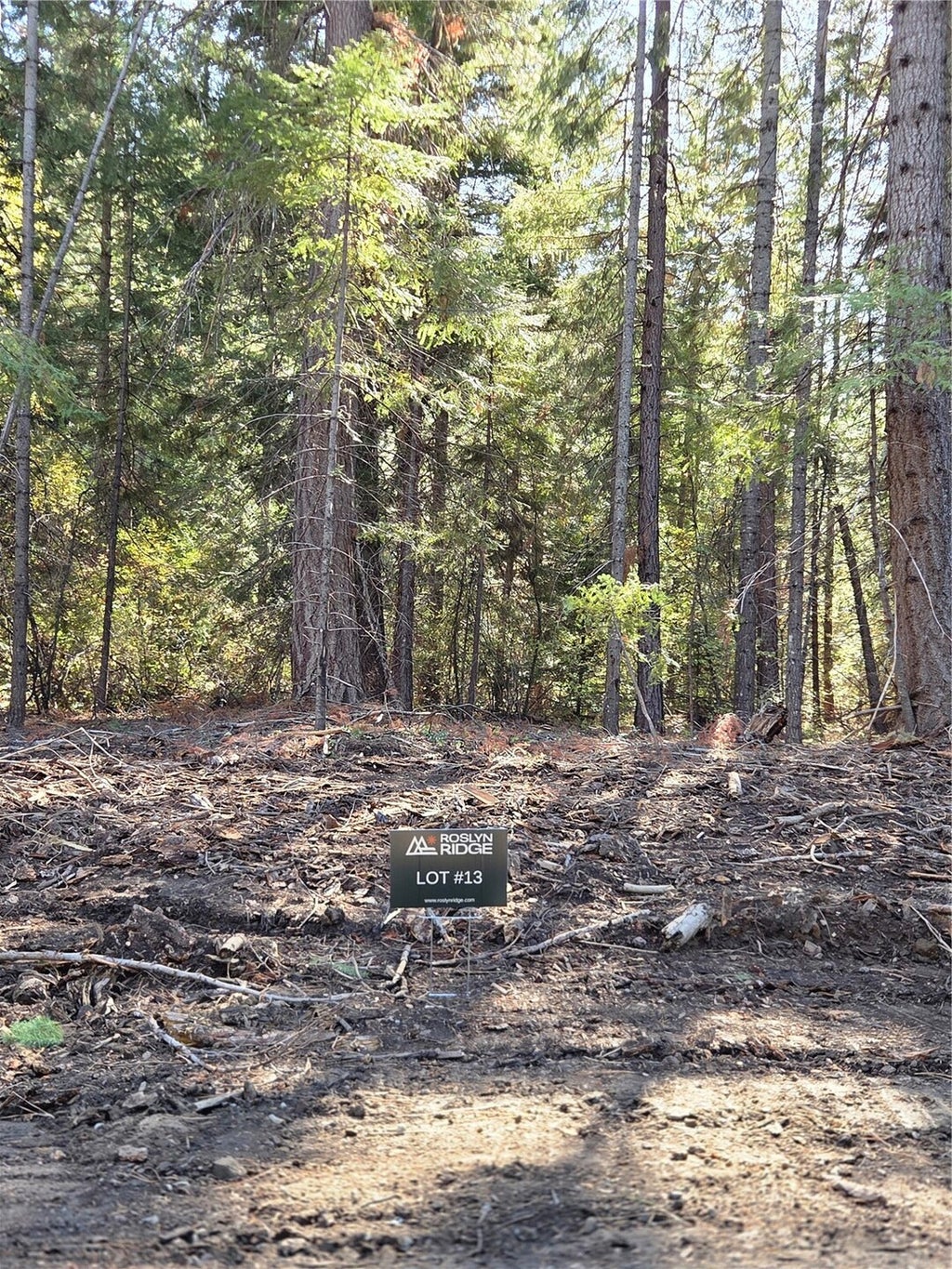 Photo of 13 Rock Cress Lane, Ronald, WA 98940 (MLS # 2595405)