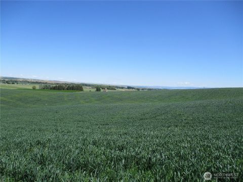 Photo of 4285 Detour Road, Touchet, WA 99360 (MLS # 2456215)