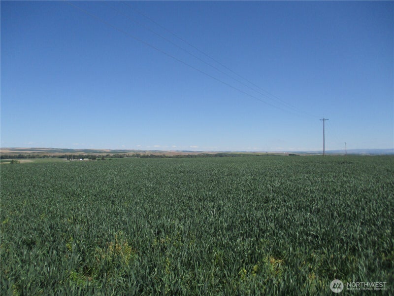 4285 Detour Road