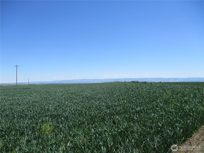 4285 Detour Road