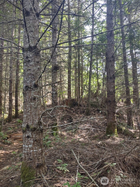Photo of 0 Hansen Road, Port Angeles, WA 98363 (MLS # 2544665)