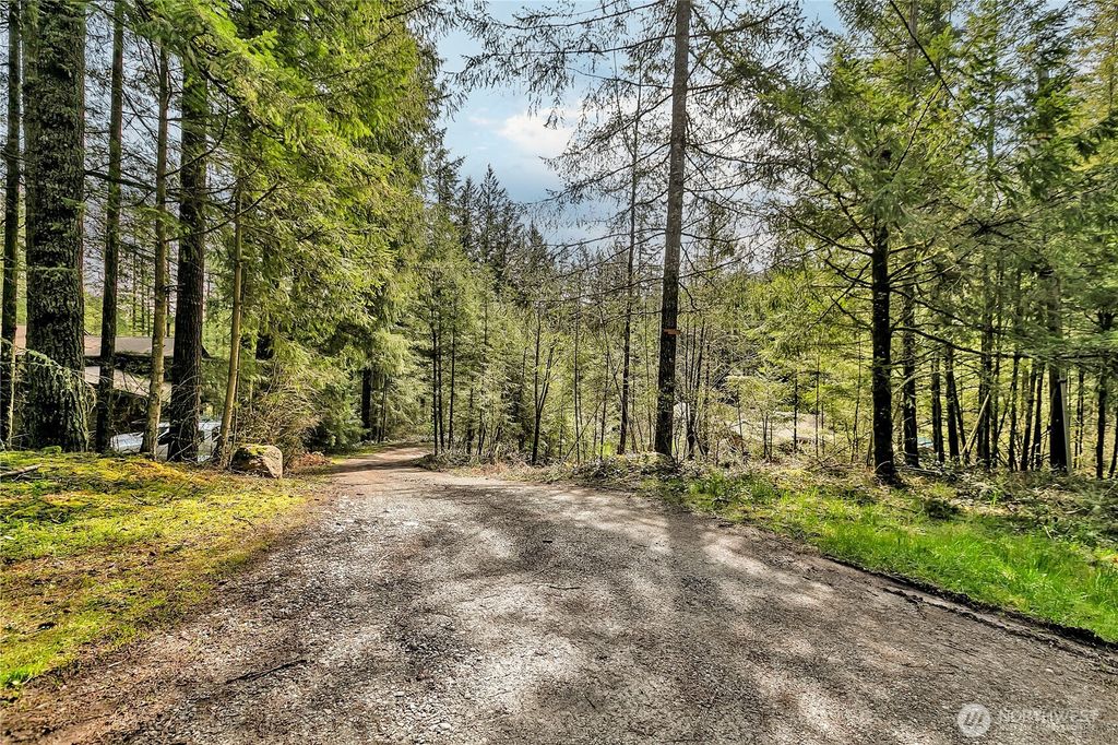 Photo of 28529 298th Place SE, Ravensdale, WA 98051 (MLS # 2357776)