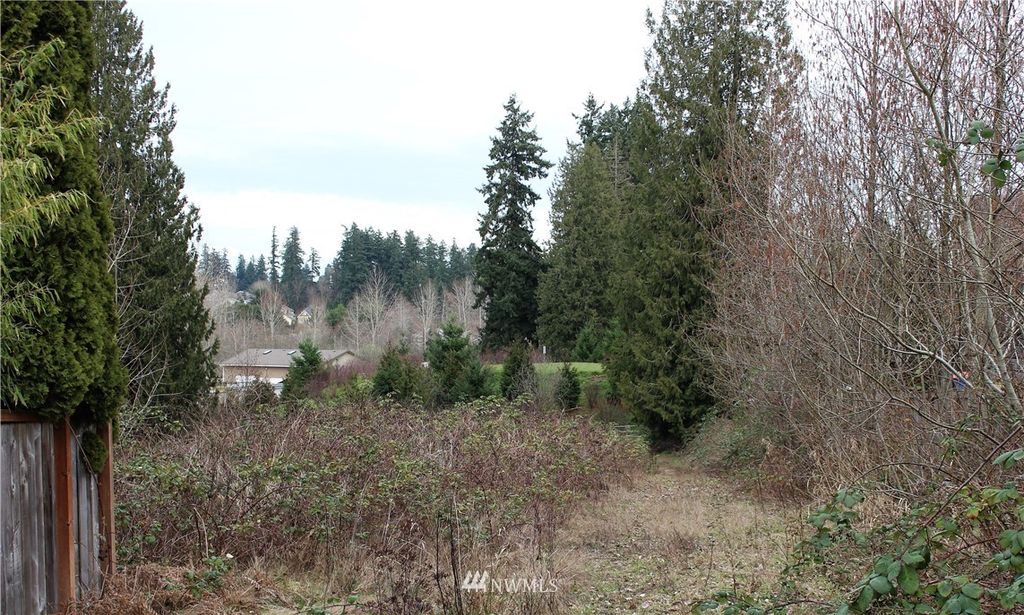 Photo of 92 28th Avenue S, Milton, WA 98354 (MLS # 1900009)