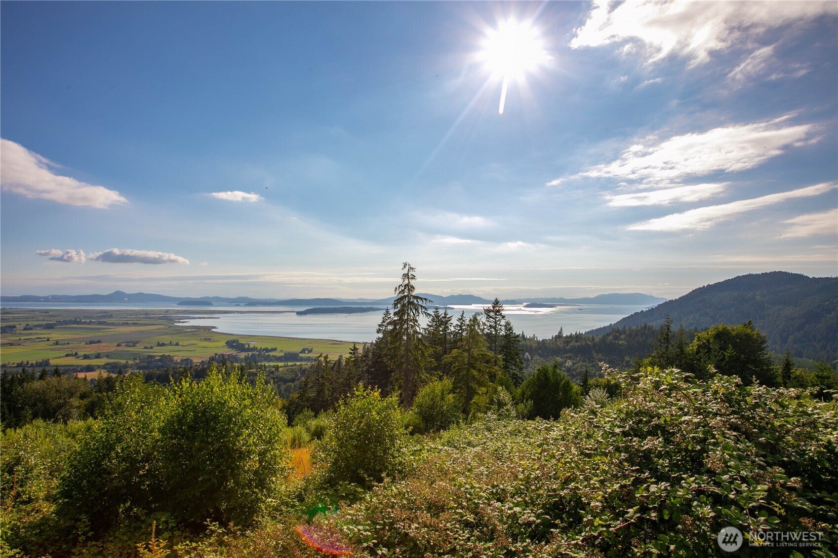 3251 Blanchard Knob Trail