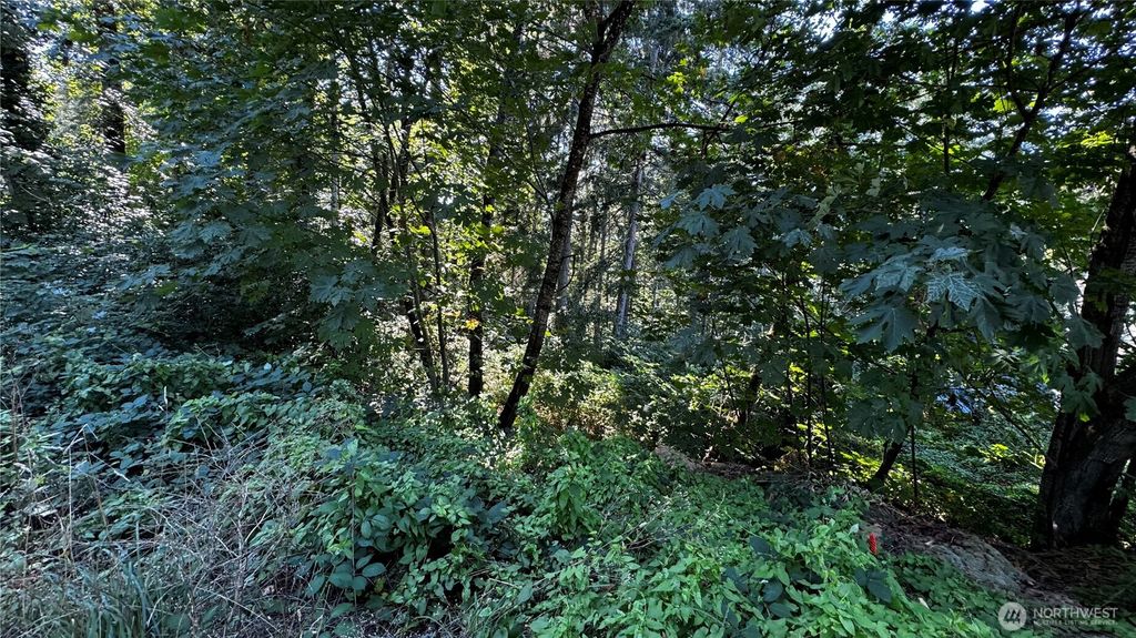 Photo of 14055 169th Avenue SE, Renton, WA 98059 (MLS # 2407010)