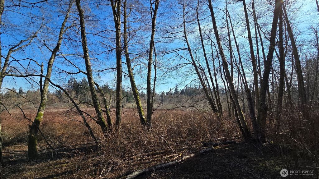 Photo of 5707 Woodard Avenue, Freeland, WA 98249 (MLS # 2486248)