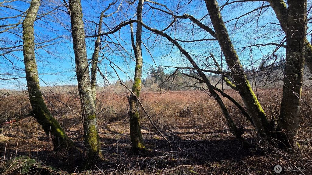 Photo of 5707 Woodard Avenue, Freeland, WA 98249 (MLS # 2486248)