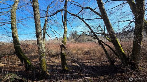 Photo of 5707 Woodard Avenue, Freeland, WA 98249 (MLS # 2486248)