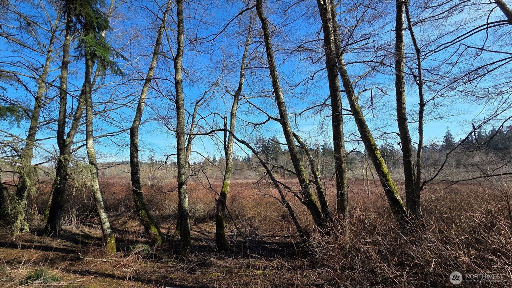 Photo of 5707 Woodard Avenue, Freeland, WA 98249 (MLS # 2486248)