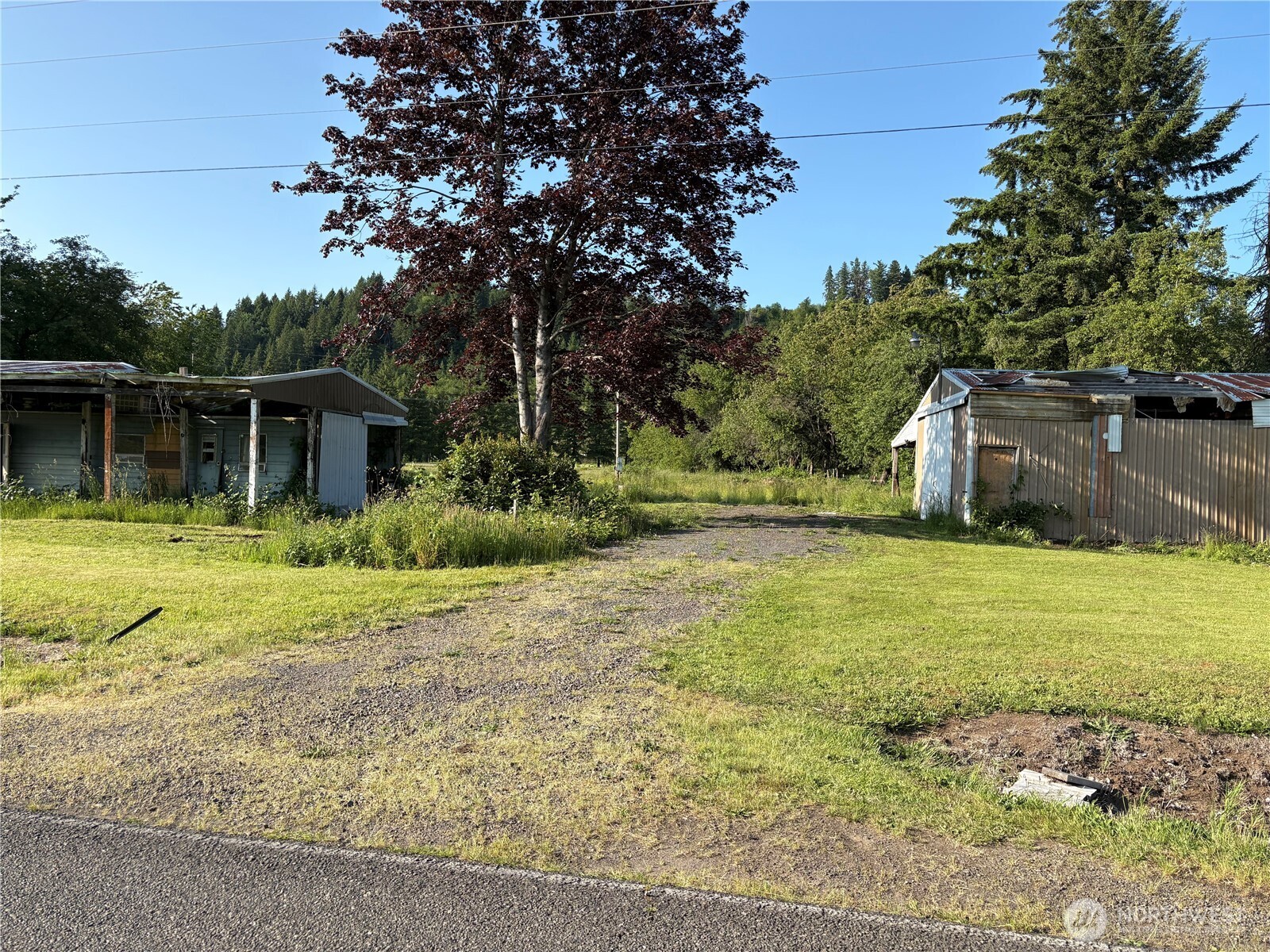 288 Mossyrock Road W