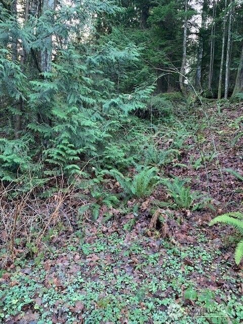 Photo of 283 xx SE 146th Street, Issaquah, WA 98027 (MLS # 2470161)