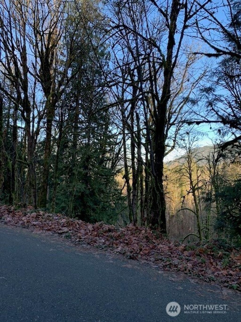 Photo of 283 xx SE 146th Street, Issaquah, WA 98027 (MLS # 2470161)