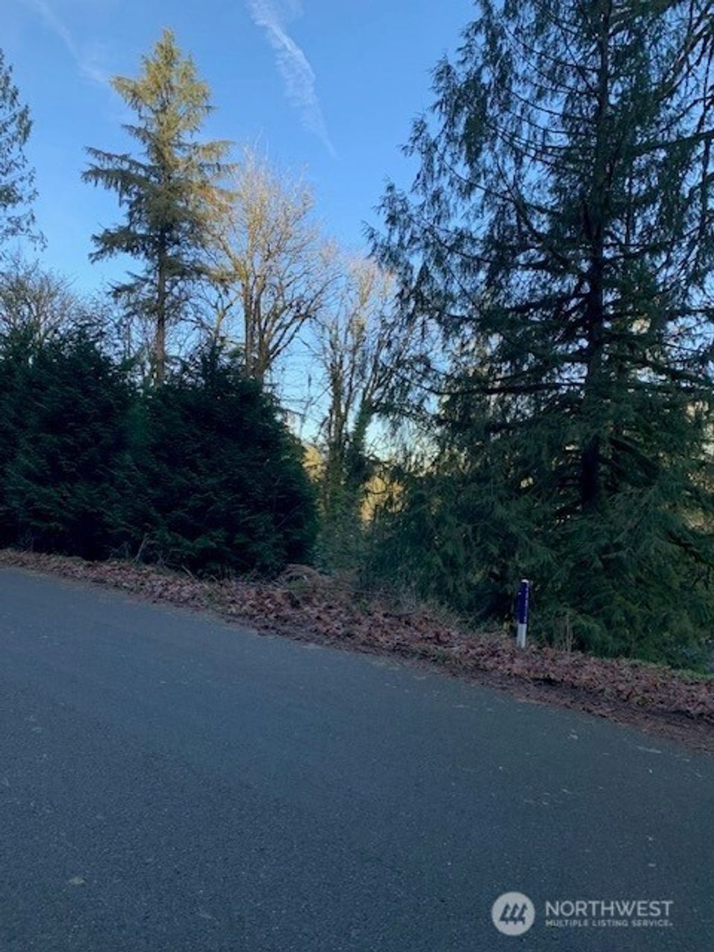 Photo of 283 xx SE 146th Street, Issaquah, WA 98027 (MLS # 2470161)