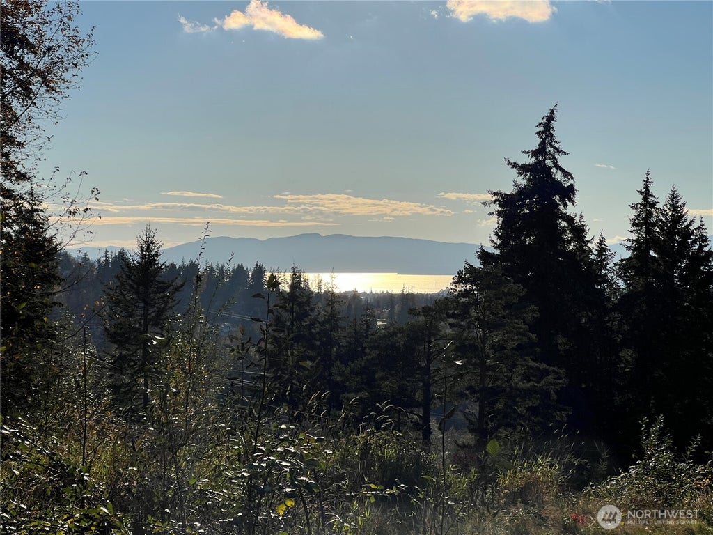 Photo of 4121 Malachite Drive, Bellingham, WA 98226 (MLS # 2575369)