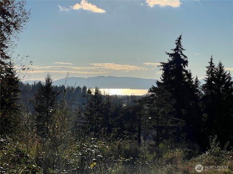 Photo of 4121 Malachite Drive, Bellingham, WA 98226 (MLS # 2575369)