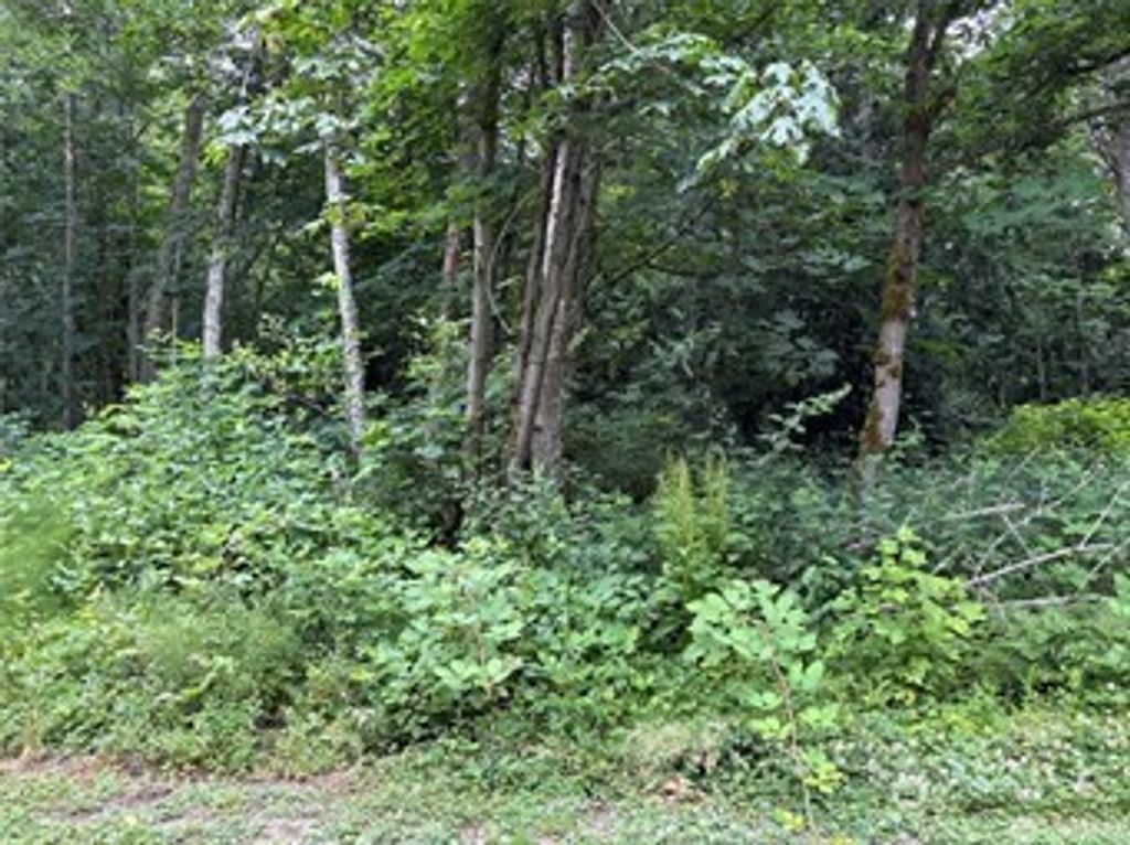 Photo of 72 Saratoga Drive, Hat Island, WA 98206 (MLS # 2501682)