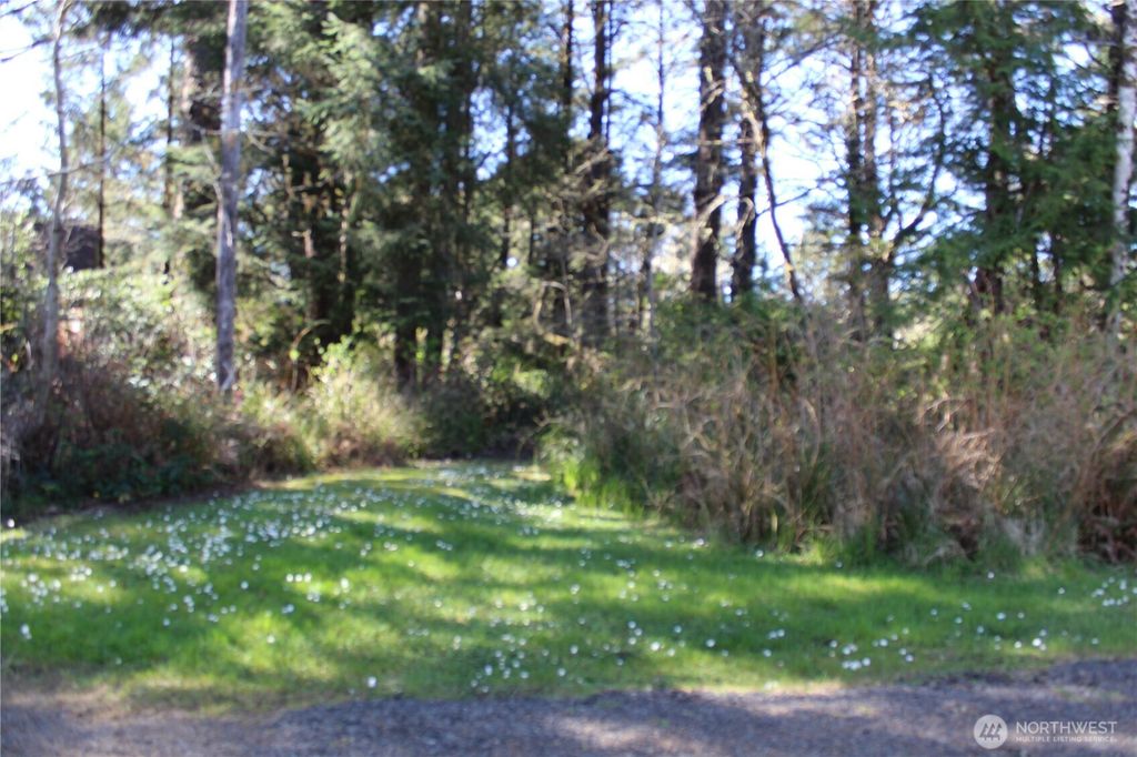 Photo of 39 Dolphin Ln. St, Copalis Beach, WA 98535 (MLS # 2504897)