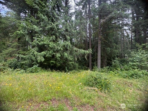 Photo of 0 E Sleaford Road, Shelton, WA 98584 (MLS # 2568512)