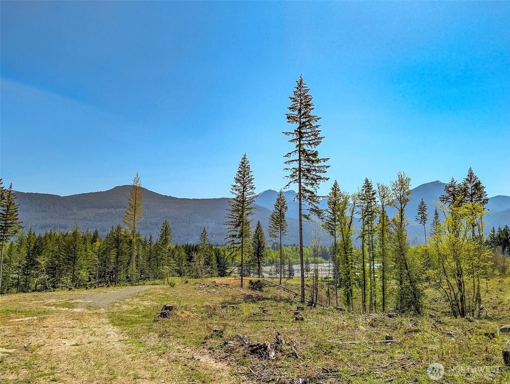 Photo of 0 Craig Road #Lot A2, Packwood, WA 98361 (MLS # 2482448)