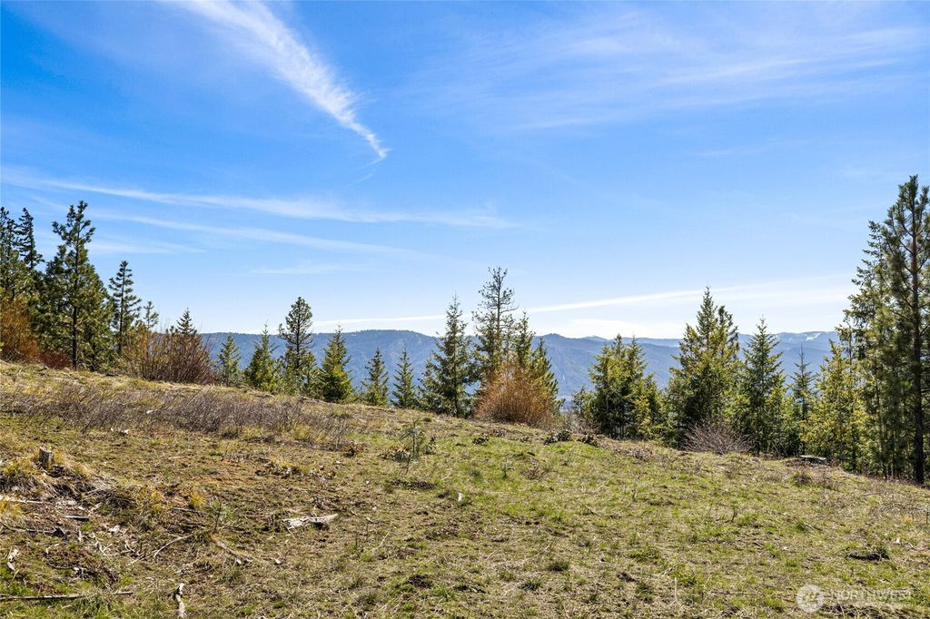 Photo of 81 Forest Ridge (Lot 81) Drive, Cle Elum, WA 98922 (MLS # 2505230)