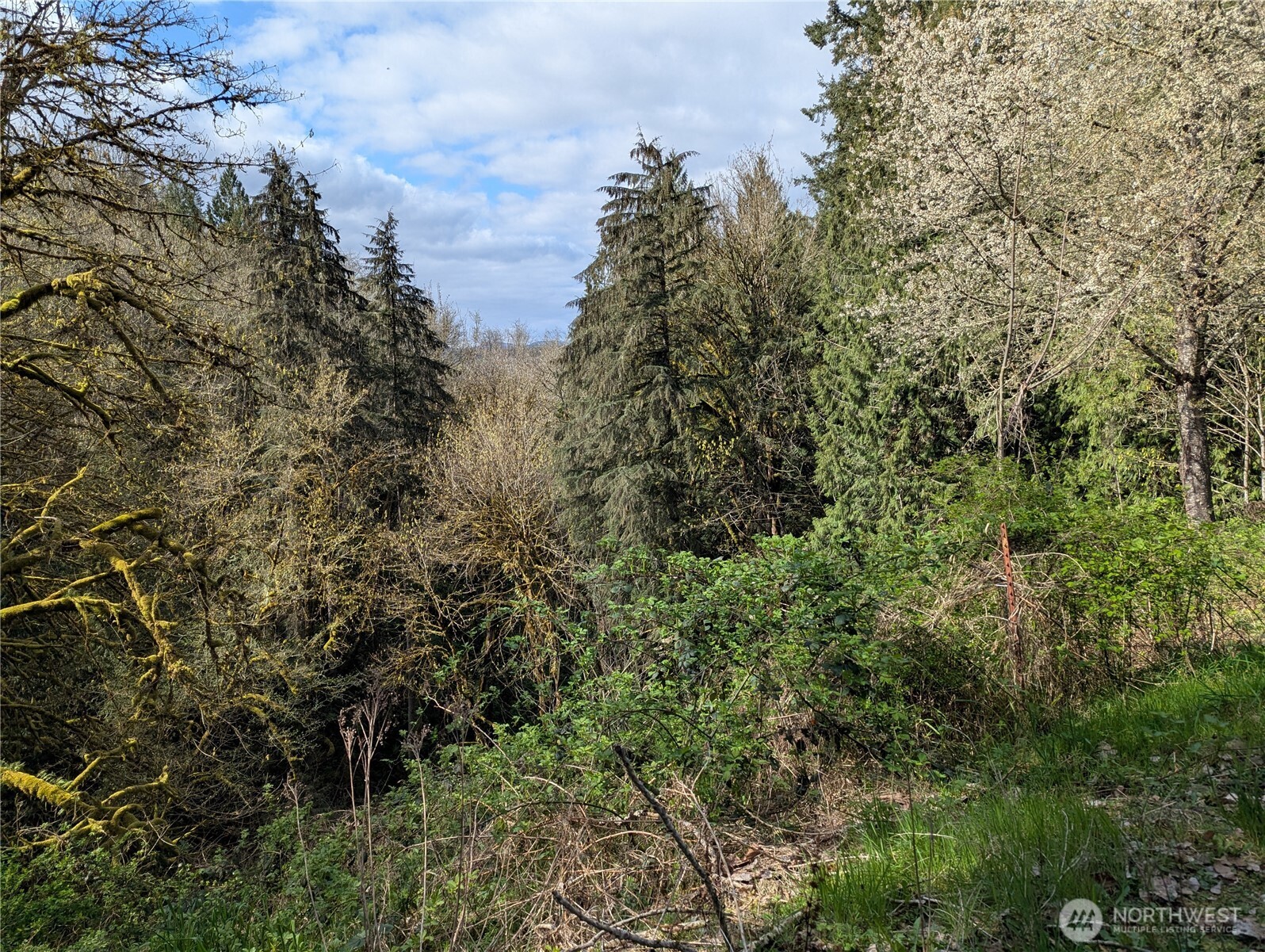 154 Valley View Drive