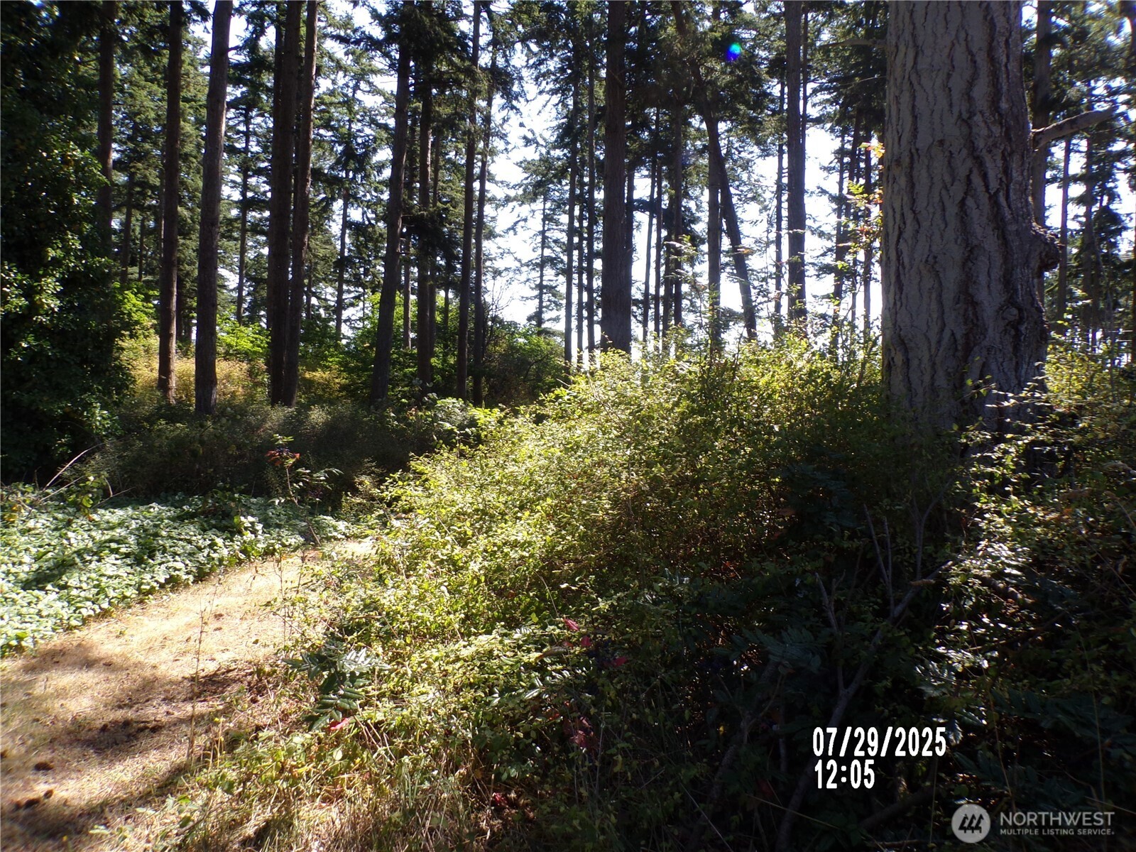 1464 Nature View Lane