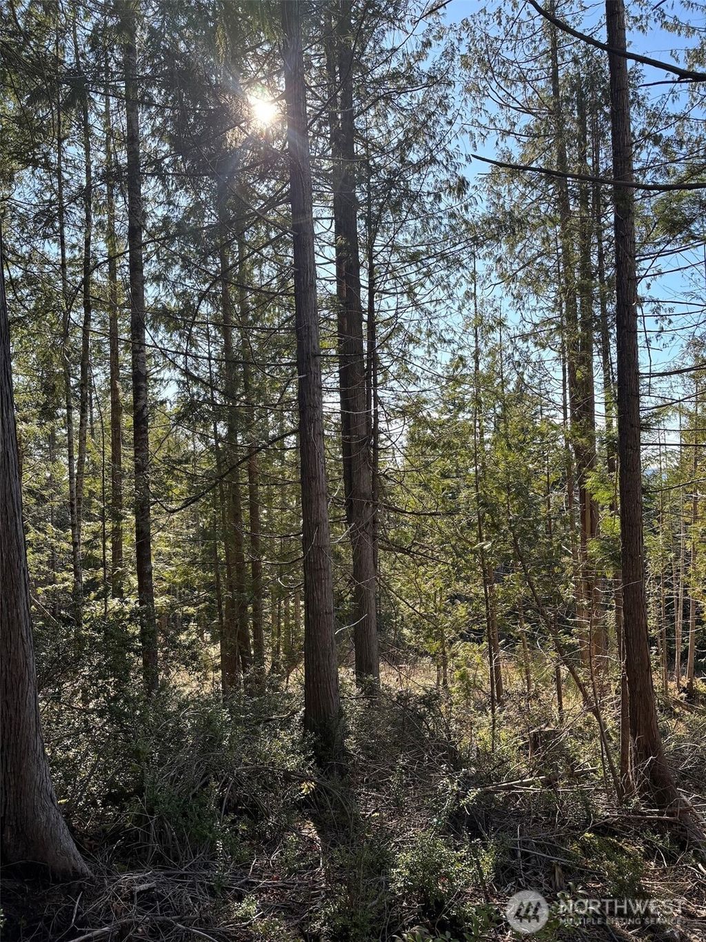 Photo of 1 NKA Yashi Road, Brinnon, WA 98320 (MLS # 2484526)