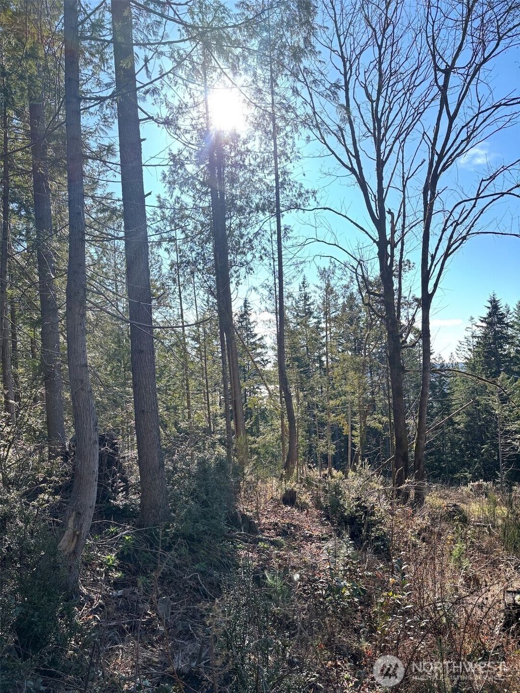 Photo of 1 NKA Yashi Road, Brinnon, WA 98320 (MLS # 2484526)