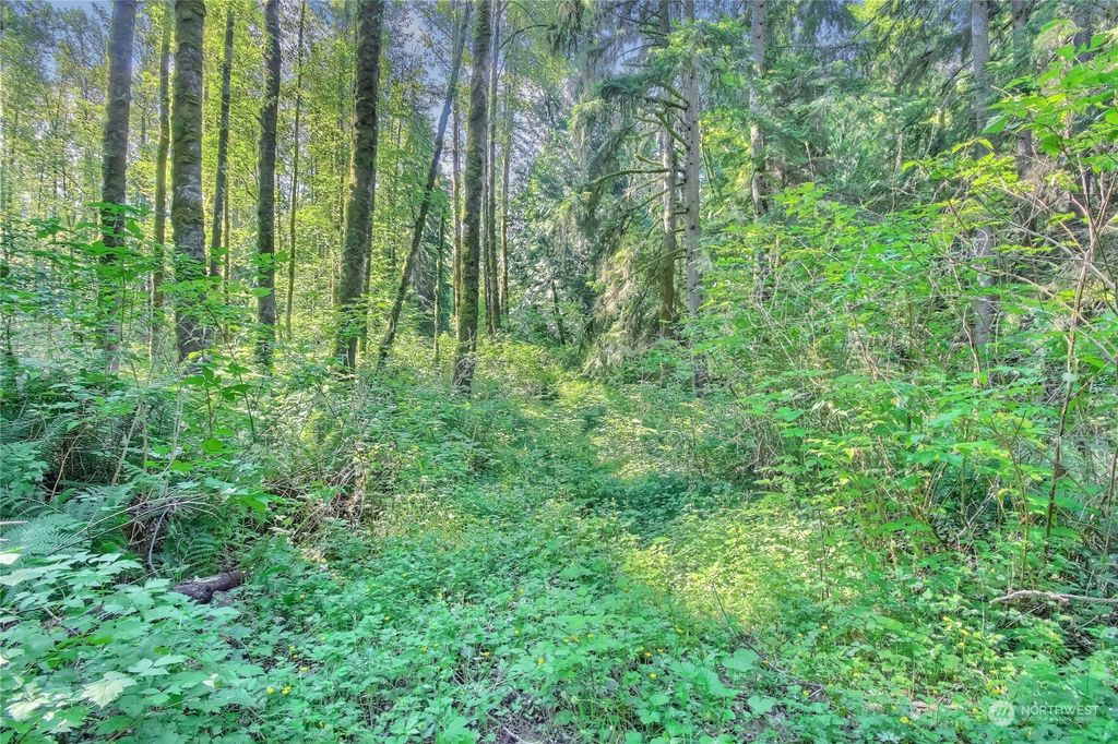 Photo of 77 xxx menzel lake, Granite Falls, WA 98252 (MLS # 2186302)