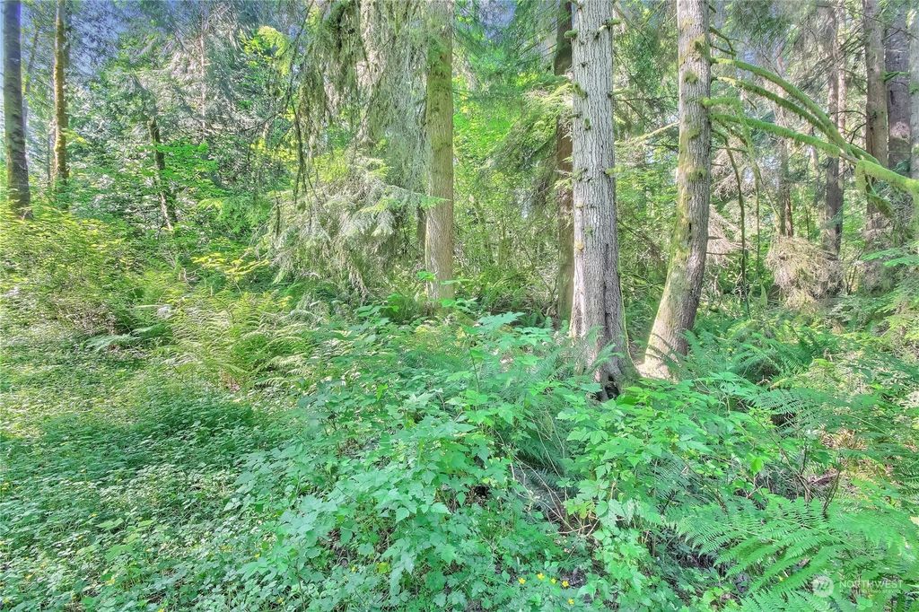 Photo of 77 xxx menzel lake, Granite Falls, WA 98252 (MLS # 2186302)