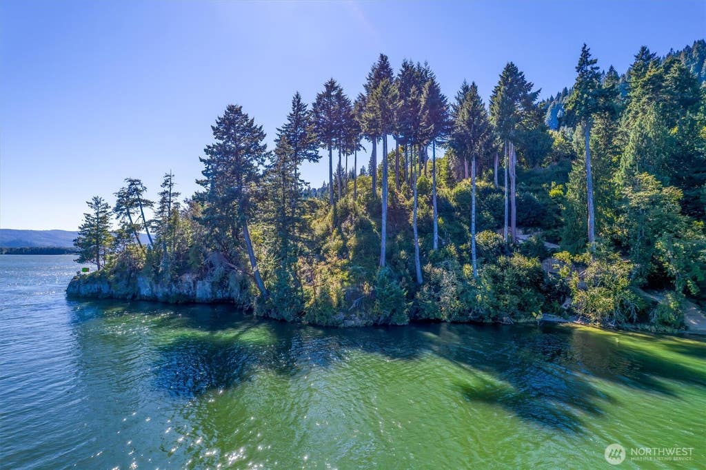 Photo of 1650 E State Route 4, Cathlamet, WA 98612 (MLS # 2569614)