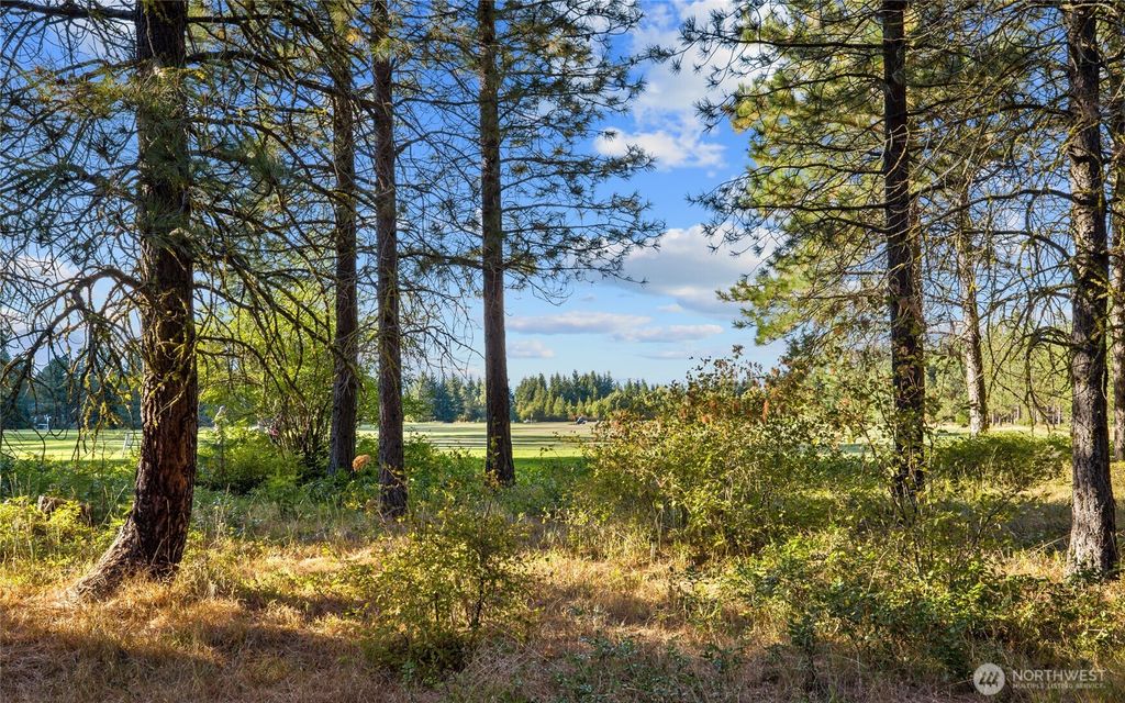 Photo of 2040 Ruby King Loop, Cle Elum, WA 98922 (MLS # 2465936)