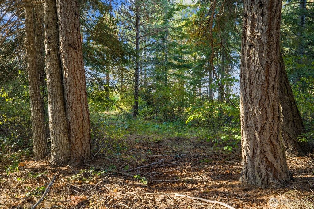 Photo of 2040 Ruby King Loop, Cle Elum, WA 98922 (MLS # 2465936)