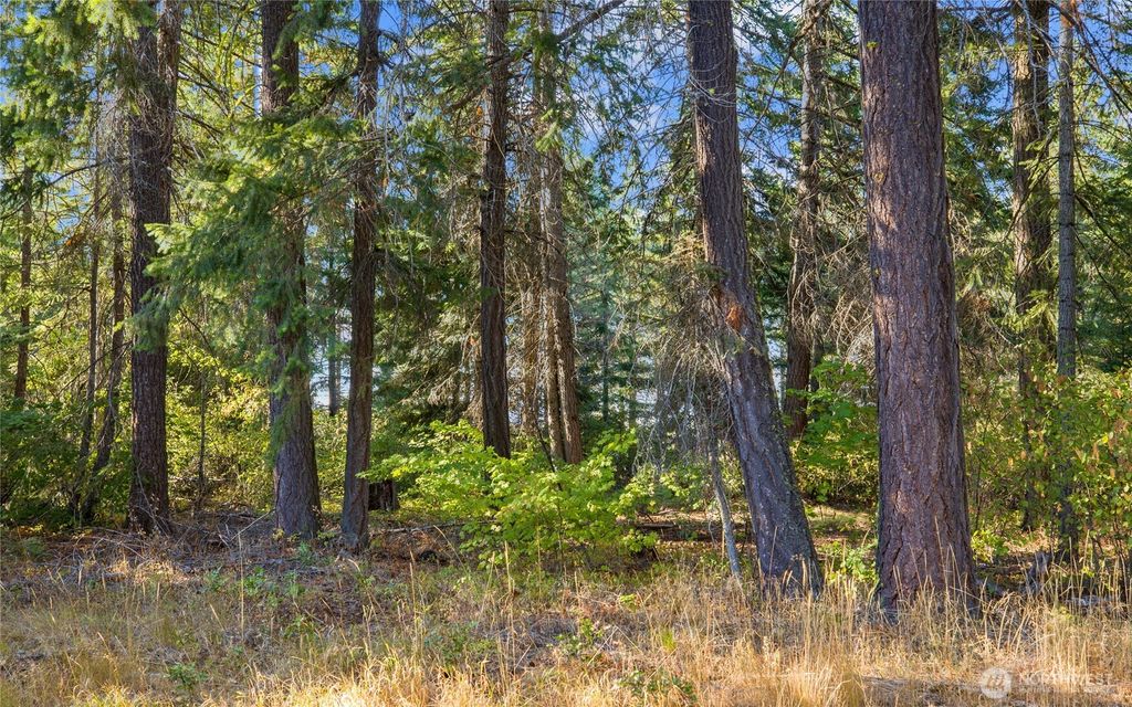 Photo of 2040 Ruby King Loop, Cle Elum, WA 98922 (MLS # 2465936)