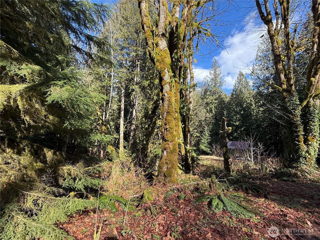 Photo of 0 High Ridge Drive, Marblemount, WA 98267 (MLS # 2504151)