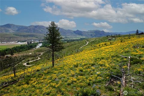 Photo of 70 TBD Hill Drive, Twisp, WA 98856 (MLS # 2515875)