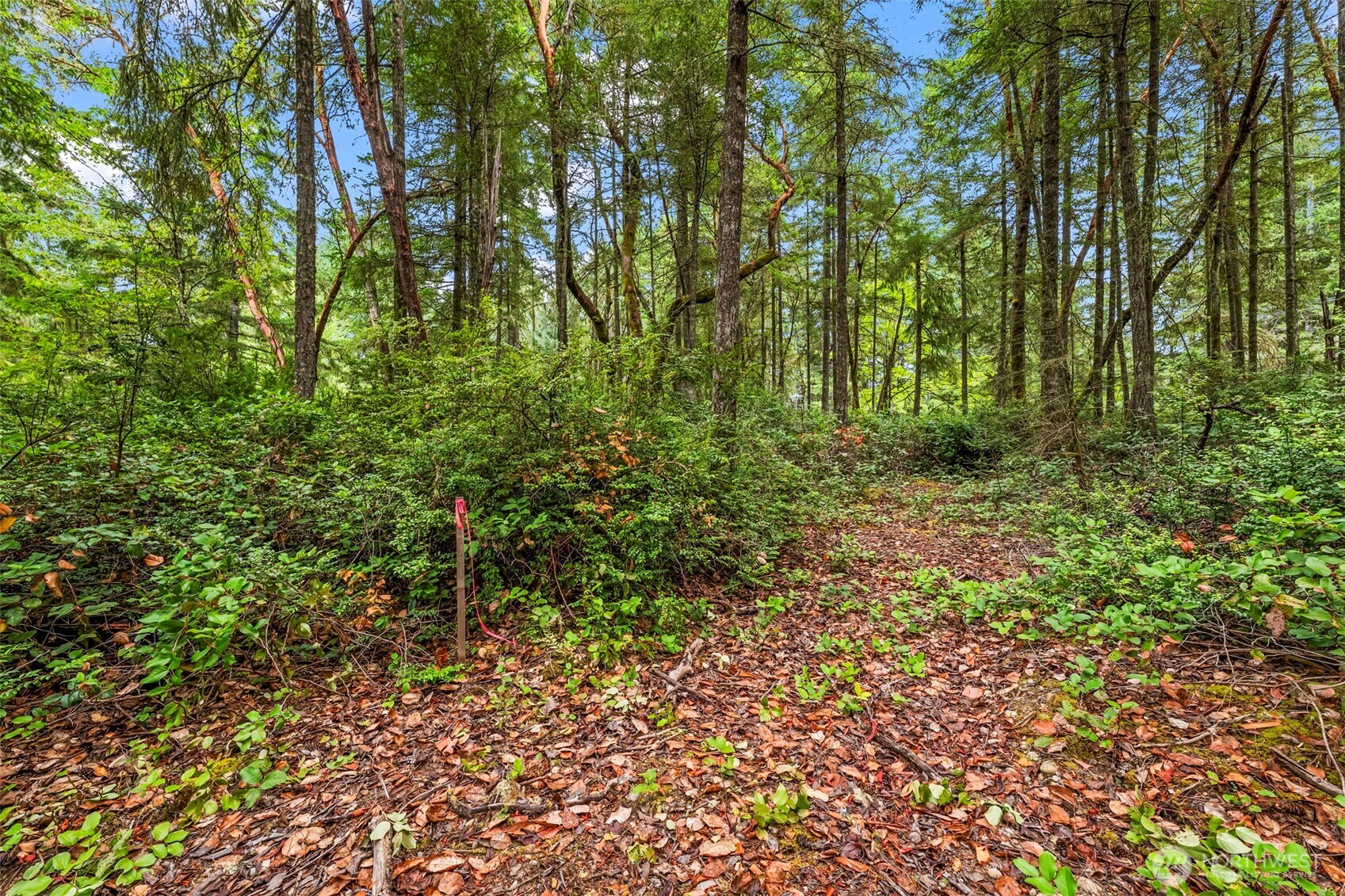 17420 74th Street NW