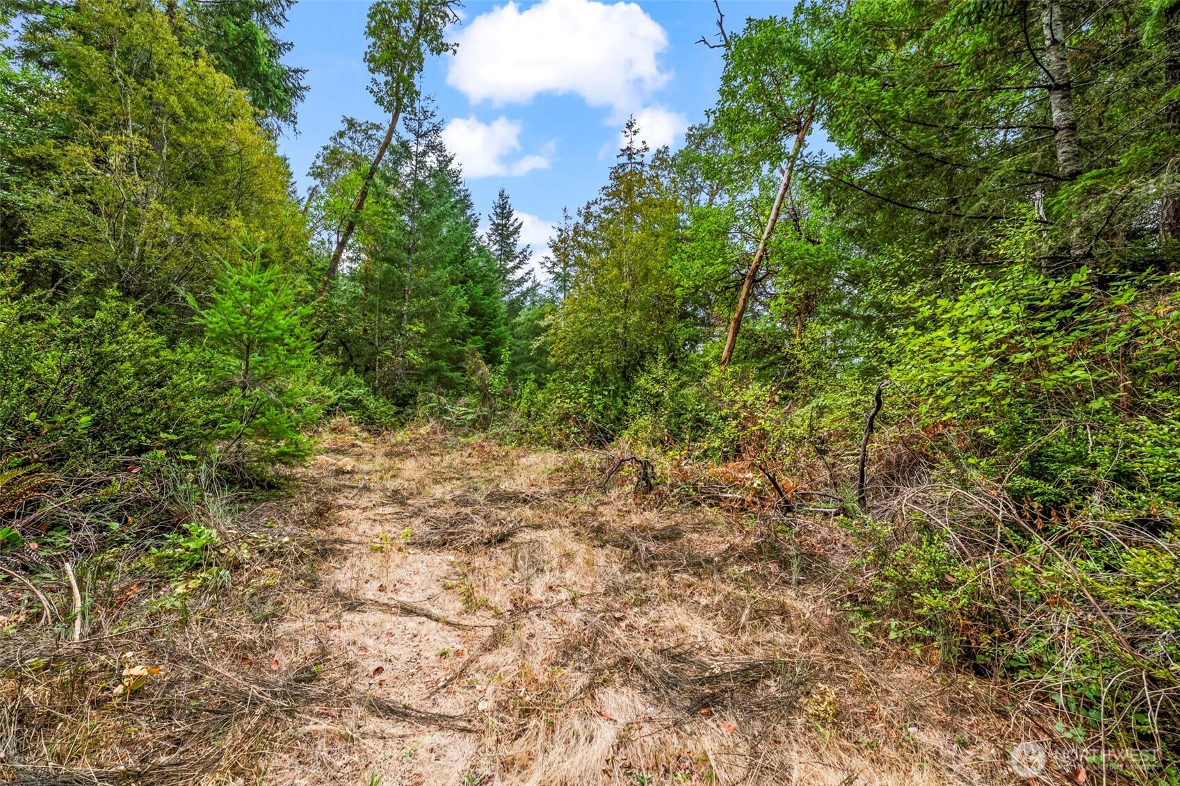 17420 74th Street NW