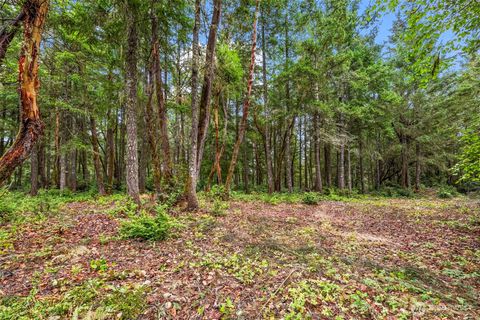 17420 74th Street NW Vaughn WA 98394