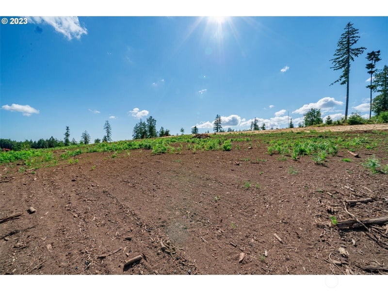 0 S Silver Lake Lot #4 Road