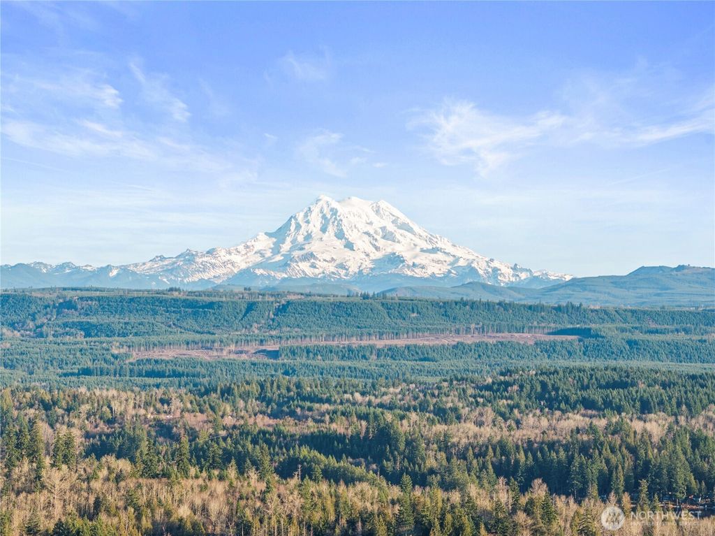 Photo of 12811 Kapowsin Highlands Drive E, Graham, WA 98338 (MLS # 2485576)