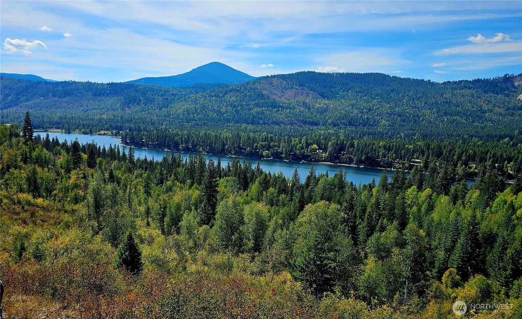 Photo of 220 Catamount Ridge Lane, Ione, WA 99139 (MLS # 2581499)