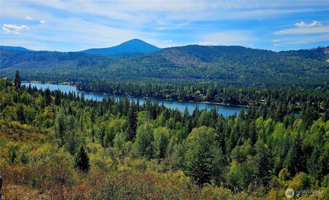 Photo of 220 Catamount Ridge Lane, Ione, WA 99139 (MLS # 2581499)