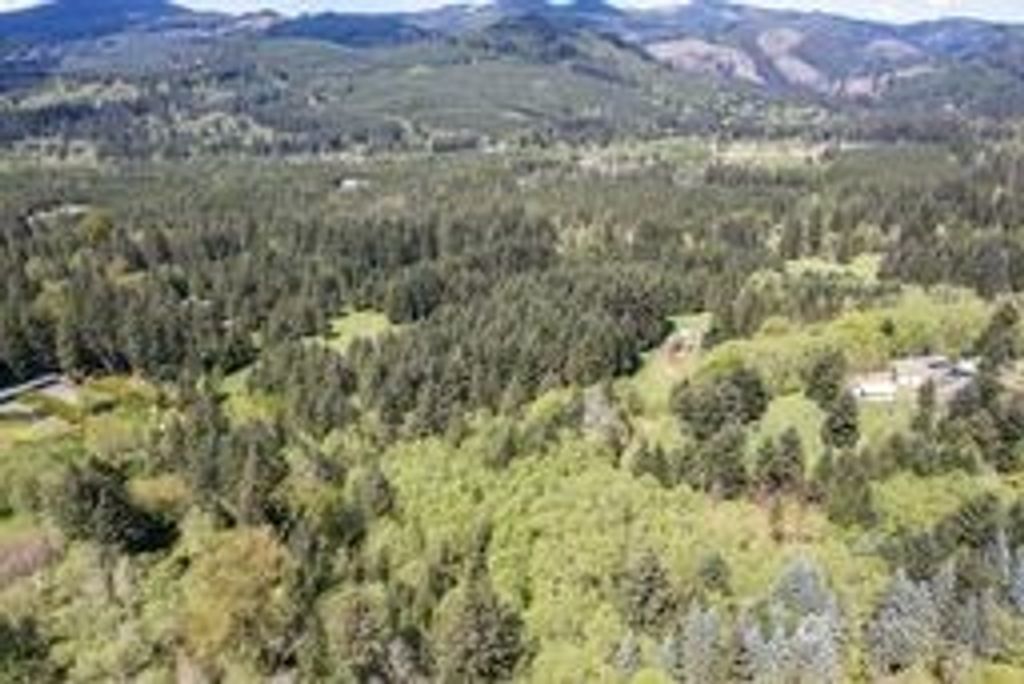Photo of 191 Sugarpine Road, Ariel, WA 98603 (MLS # 2517849)