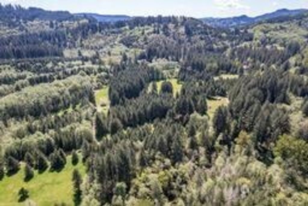 Photo of 191 Sugarpine Road, Ariel, WA 98603 (MLS # 2517849)