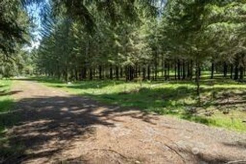 Photo of 191 Sugarpine Road, Ariel, WA 98603 (MLS # 2517849)