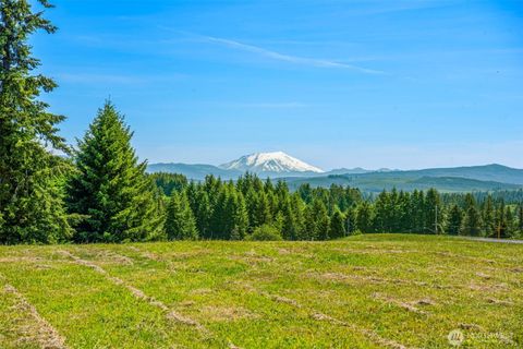 165 Cooper Hill Court Castle Rock WA 98611
