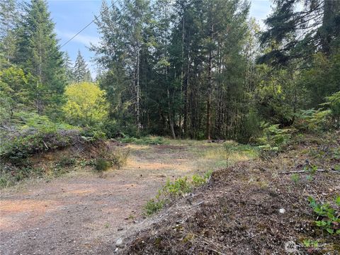 Photo of 31 E Tintagel Place, Shelton, WA 98584 (MLS # 2424071)