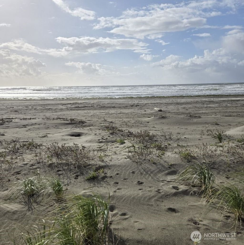 Photo of 4721 State Route 105 S, Grayland, WA 98547 (MLS # 2505862)