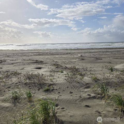 Photo of 4721 State Route 105 S, Grayland, WA 98547 (MLS # 2505862)